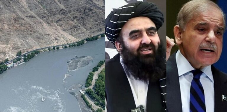 000000000-1766039323