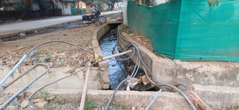 WhatsApp Image 2026-01-04 at 11.42.01 (2)