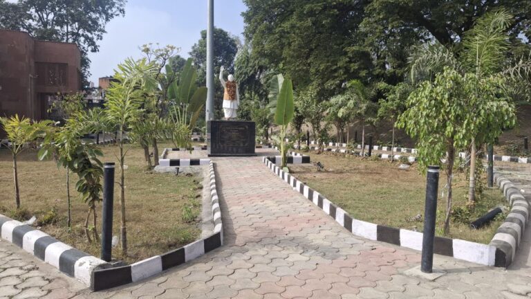 photo_6260404220133575739_y