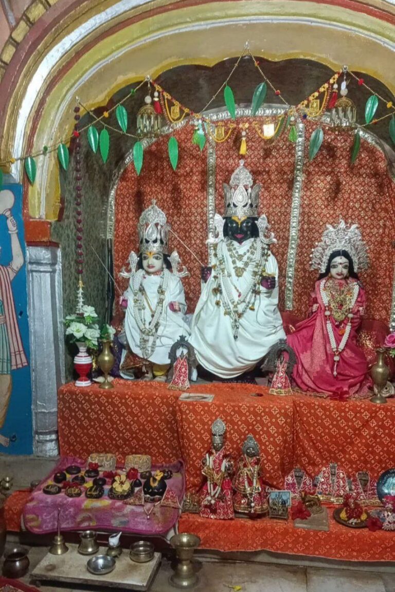 photo_6305381383945260980_y