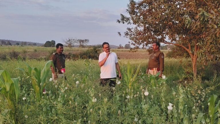 WhatsApp Image 2026-03-01 at 18.02.48