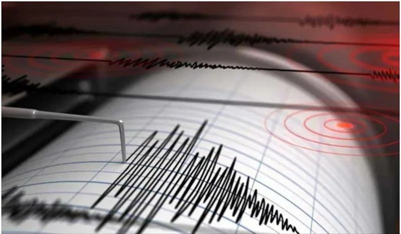 gjhkvkmv-bn-1772532216