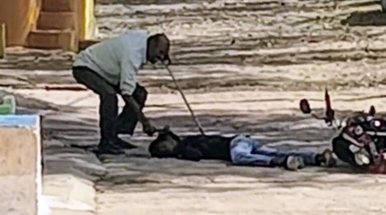 photo_6147796821946862949_y